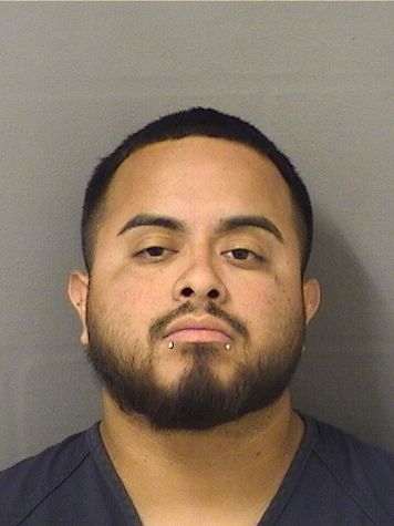  CRISTIAN ALAN GONZALAZ Results from Palm Beach County Florida for  CRISTIAN ALAN GONZALAZ