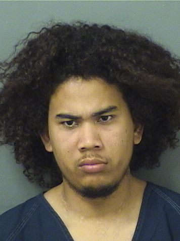  ANDERSON JOSE TIRIAMAITA Results from Palm Beach County Florida for  ANDERSON JOSE TIRIAMAITA
