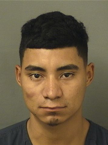  JOSE MEZAORTIZ Results from Palm Beach County Florida for  JOSE MEZAORTIZ