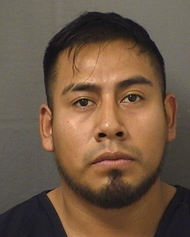  ALFONSO PEREZRAMOS Results from Palm Beach County Florida for  ALFONSO PEREZRAMOS