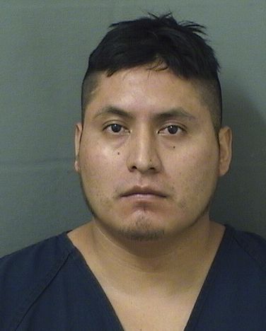  TOMAS SAQUICSUY Results from Palm Beach County Florida for  TOMAS SAQUICSUY