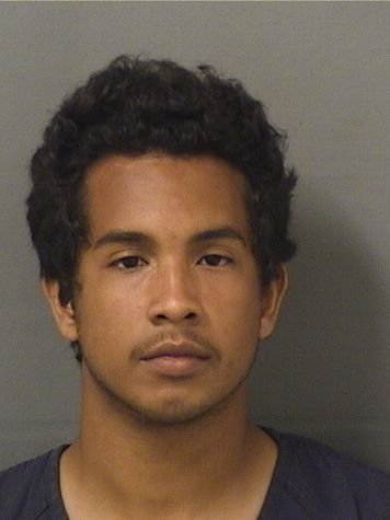  CASSIUS AMIR TORTELLI Resultados de la busqueda para Palm Beach County Florida para  CASSIUS AMIR TORTELLI