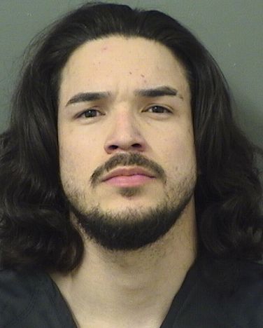  RICARDO ENRIQUE LUGOCANTILLO Resultados de la busqueda para Palm Beach County Florida para  RICARDO ENRIQUE LUGOCANTILLO