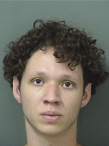  VILLARROEL JULIO CARRILLO Results from Palm Beach County Florida for  VILLARROEL JULIO CARRILLO