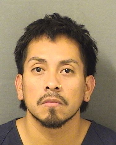  ERICK FABIAN MAYAPEREZ Results from Palm Beach County Florida for  ERICK FABIAN MAYAPEREZ