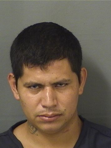  WERNER OSIEL TOMAS Photo For  WERNER OSIEL TOMAS