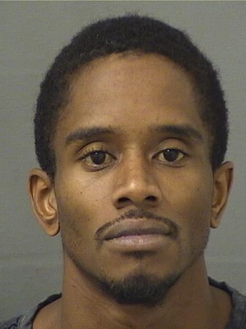  MICHAEL W HARRIS Results from Palm Beach County Florida for  MICHAEL W HARRIS