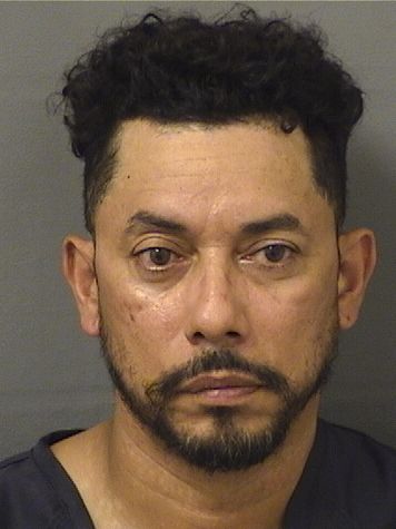  LUIS F OSORIOCRUZ Results from Palm Beach County Florida for  LUIS F OSORIOCRUZ