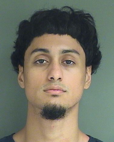  CRISTIAN FERNANDO MOLINARIVERA Results from Palm Beach County Florida for  CRISTIAN FERNANDO MOLINARIVERA