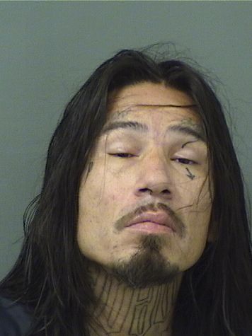  JONATHON MOSES PEGO Results from Palm Beach County Florida for  JONATHON MOSES PEGO