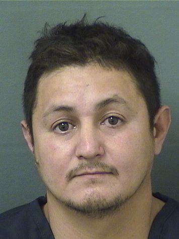  EDGAR VILLATOROREYES Results from Palm Beach County Florida for  EDGAR VILLATOROREYES