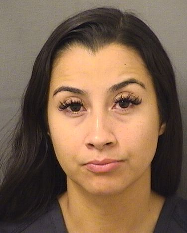  RACHEL MICHELE RAMIREZ Results from Palm Beach County Florida for  RACHEL MICHELE RAMIREZ