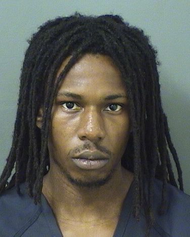  NATHAN ROCKWELL JOHNSON Results from Palm Beach County Florida for  NATHAN ROCKWELL JOHNSON