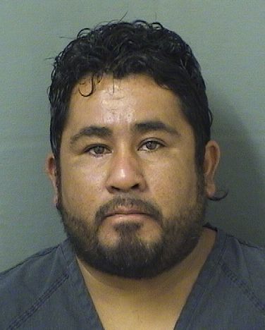  MARIN GIOVANNY VARGAS Results from Palm Beach County Florida for  MARIN GIOVANNY VARGAS