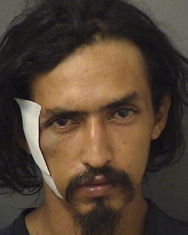  ABBIE ENRIQUE CHAVEZ Results from Palm Beach County Florida for  ABBIE ENRIQUE CHAVEZ