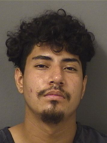  ALAN LUCATEROSAGRERO Results from Palm Beach County Florida for  ALAN LUCATEROSAGRERO