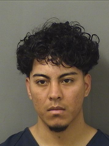  FERNANDO J HERNANDEZANTUNEZ Results from Palm Beach County Florida for  FERNANDO J HERNANDEZANTUNEZ