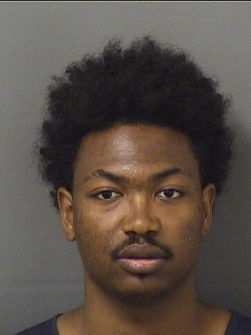  NOAH WILLIAMSMCKENZIE Results from Palm Beach County Florida for  NOAH WILLIAMSMCKENZIE