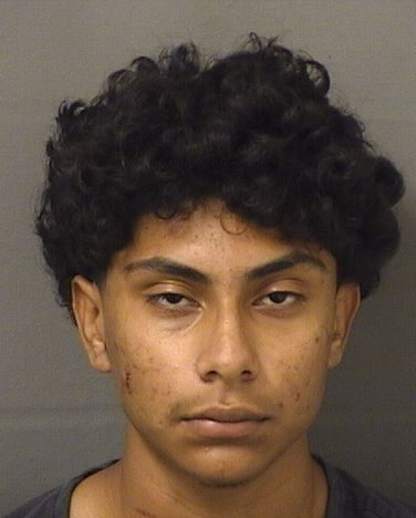 MARC REYNATORRES Results from Palm Beach County Florida for MARC REYNATORRES MARC REYNATORRES Results from Palm Beach County Florida for MARC REYNATORRES