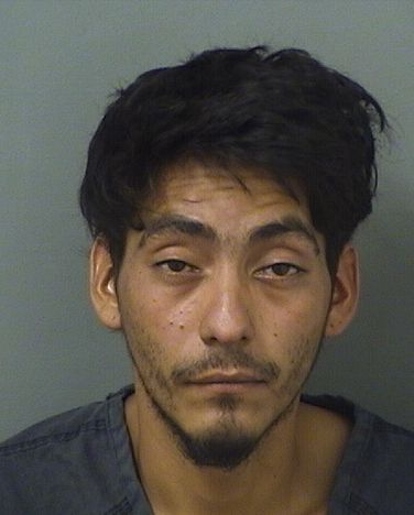  GABRIEL PORTILLO Results from Palm Beach County Florida for  GABRIEL PORTILLO