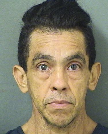  ERVIN REYNALDO BORGEJIRON Results from Palm Beach County Florida for  ERVIN REYNALDO BORGEJIRON