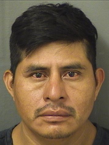  VICENTE MALDONADO Results from Palm Beach County Florida for  VICENTE MALDONADO