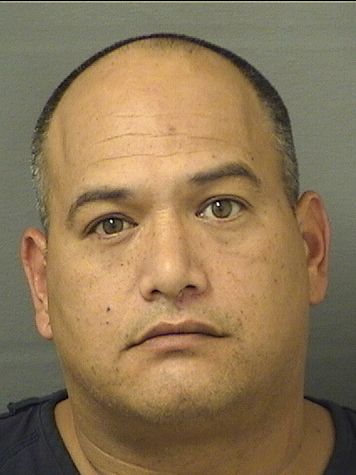  CORY MICHAEL DOMINGUEZ Results from Palm Beach County Florida for  CORY MICHAEL DOMINGUEZ