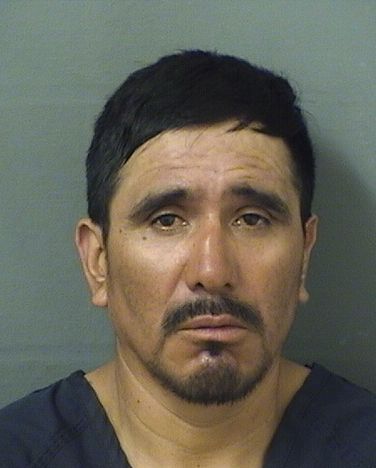  ELEAZAR CHAJCHAJ Photo For  ELEAZAR CHAJCHAJ