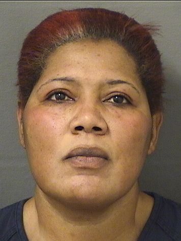  NATACHA VALCIN Results from Palm Beach County Florida for  NATACHA VALCIN