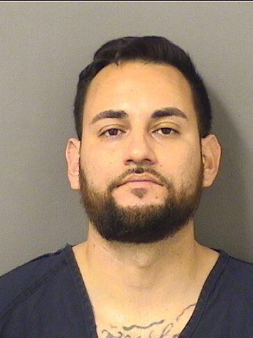  ANDRE ESTEVAN ARELLANO Results from Palm Beach County Florida for  ANDRE ESTEVAN ARELLANO