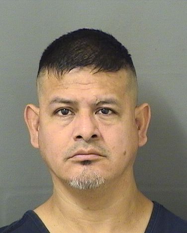  RAUL ANTONIO ALCANTARAMONTIEL Resultados de la busqueda para Palm Beach County Florida para  RAUL ANTONIO ALCANTARAMONTIEL