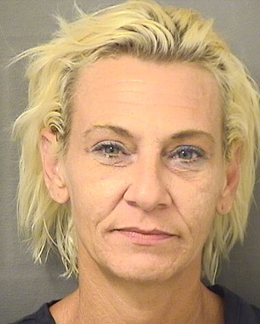  MEREDITH NEAL SCHMITT Results from Palm Beach County Florida for  MEREDITH NEAL SCHMITT