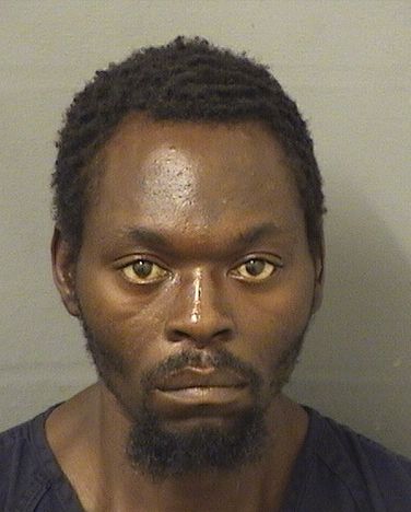  THOMAS LAMAR STEPHENS Results from Palm Beach County Florida for  THOMAS LAMAR STEPHENS