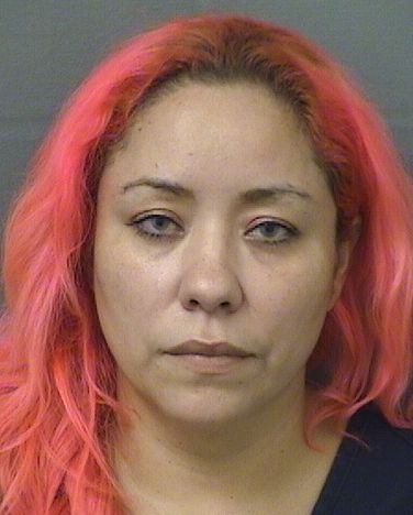  LAURA SILVESTRE Results from Palm Beach County Florida for  LAURA SILVESTRE