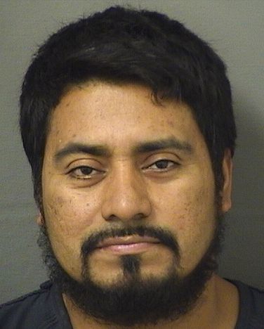  OSCAR VILLATOROORDONEZ Results from Palm Beach County Florida for  OSCAR VILLATOROORDONEZ