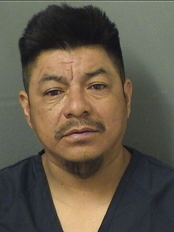  ANDRES CASILLASHERNANDEZ Results from Palm Beach County Florida for  ANDRES CASILLASHERNANDEZ