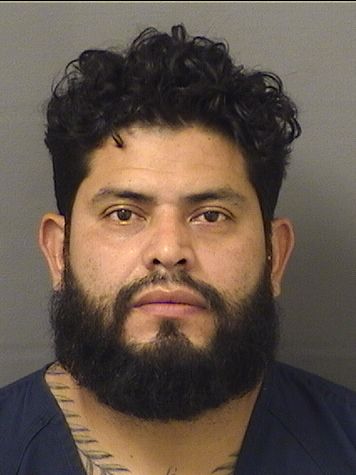  CARLOS JOSE PEREZACUNA Resultados de la busqueda para Palm Beach County Florida para  CARLOS JOSE PEREZACUNA