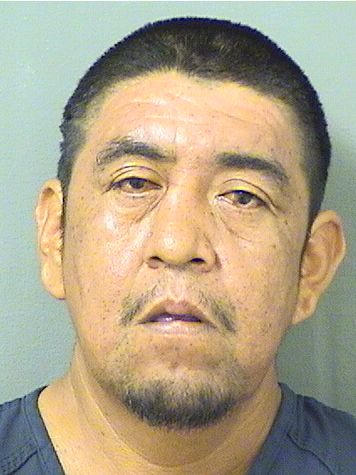  ROBERTO HERNANDEZZEPEDA Results from Palm Beach County Florida for  ROBERTO HERNANDEZZEPEDA