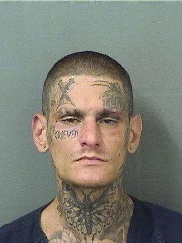  DILLON R KATZ Photo For  DILLON R KATZ