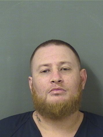  MATTHEW RYAN HOLLANDER Results from Palm Beach County Florida for  MATTHEW RYAN HOLLANDER