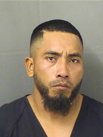  MARIN ARREAGA GALVEZ Photo