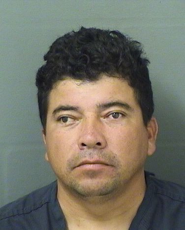 WILLMAR RODOLFO MORALESGOMEZ Results from Palm Beach County Florida for WILLMAR RODOLFO MORALESGOMEZ WILLMAR RODOLFO MORALESGOMEZ Results from Palm Beach County Florida for WILLMAR RODOLFO MORALESGOMEZ