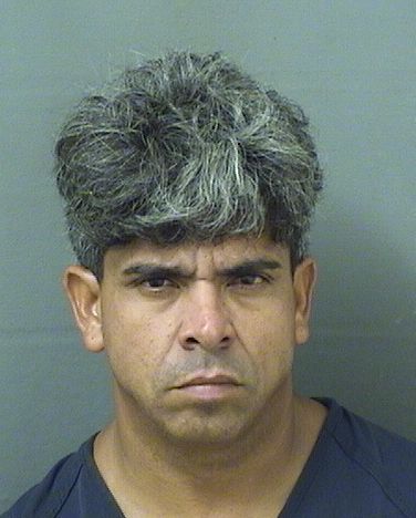  GENNIER PEREZGONZALEZ Results from Palm Beach County Florida for  GENNIER PEREZGONZALEZ