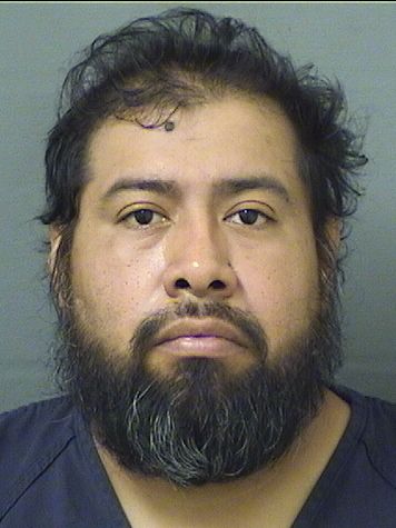  HUGO ANGEL PALAYOTPIO Results from Palm Beach County Florida for  HUGO ANGEL PALAYOTPIO