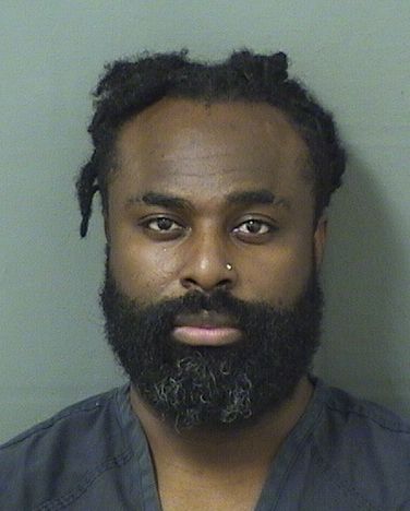  DMITRI JAMIL RENEAU Results from Palm Beach County Florida for  DMITRI JAMIL RENEAU