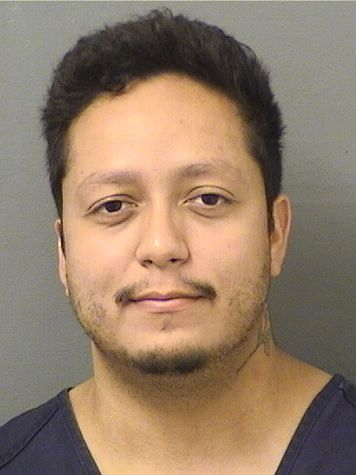  ELVIN OROZCO Resultados de la busqueda para Palm Beach County Florida para  ELVIN OROZCO