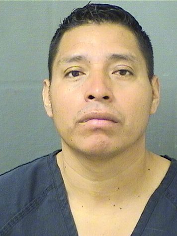  RODOLFO VICENTE POROJ Resultados de la busqueda para Palm Beach County Florida para  RODOLFO VICENTE POROJ