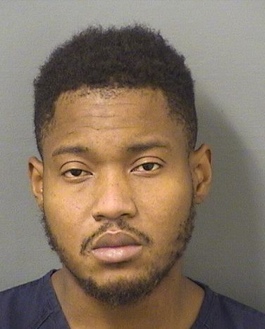  ANDERSON ARISTHENE Results from Palm Beach County Florida for  ANDERSON ARISTHENE