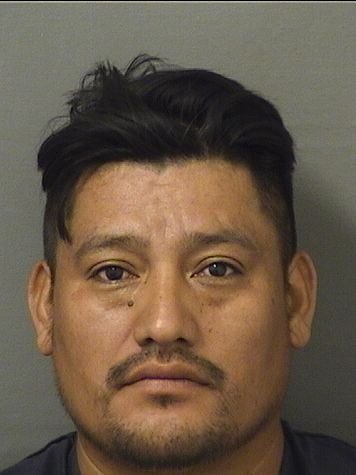  MELVIN AJTUNPELICO Results from Palm Beach County Florida for  MELVIN AJTUNPELICO