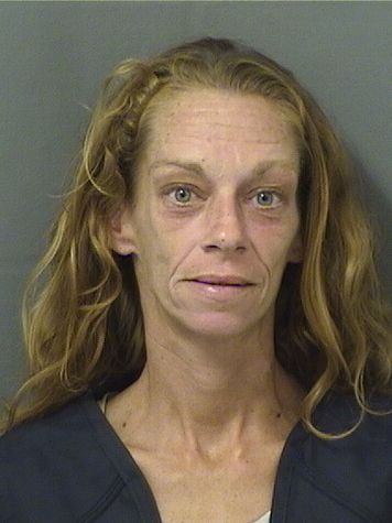  MEGHAN P PETITT Results from Palm Beach County Florida for  MEGHAN P PETITT